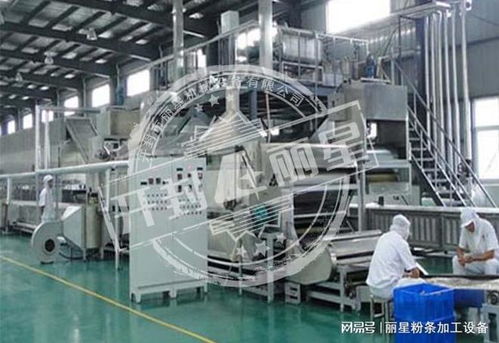 機械化加工粉條的優勢、常見問題及解決方案全解析